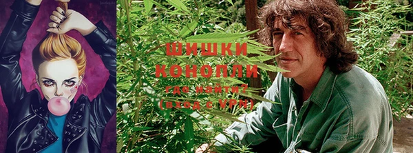 кокаин колумбия Богданович